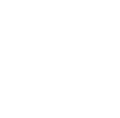 Discord Branding